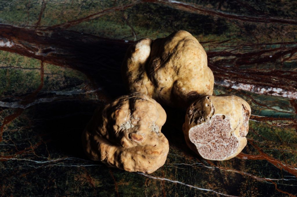 Trois truffes blanches en gros plan, aux textures uniques et à l’arôme intense.