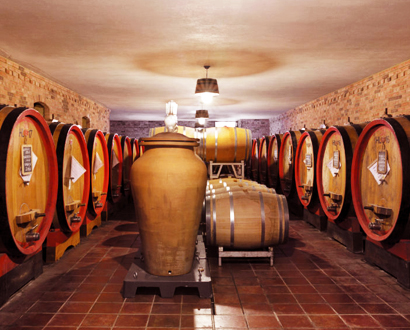 Cave de Giuseppe Cortese avec des fûts en bois pour le vieillissement de vins italiens authentiques.