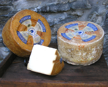 Meule entière de fromage Castelmagno et tranches fraîchement coupées.