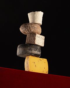 Assortiment haut de gamme de fromages italiens